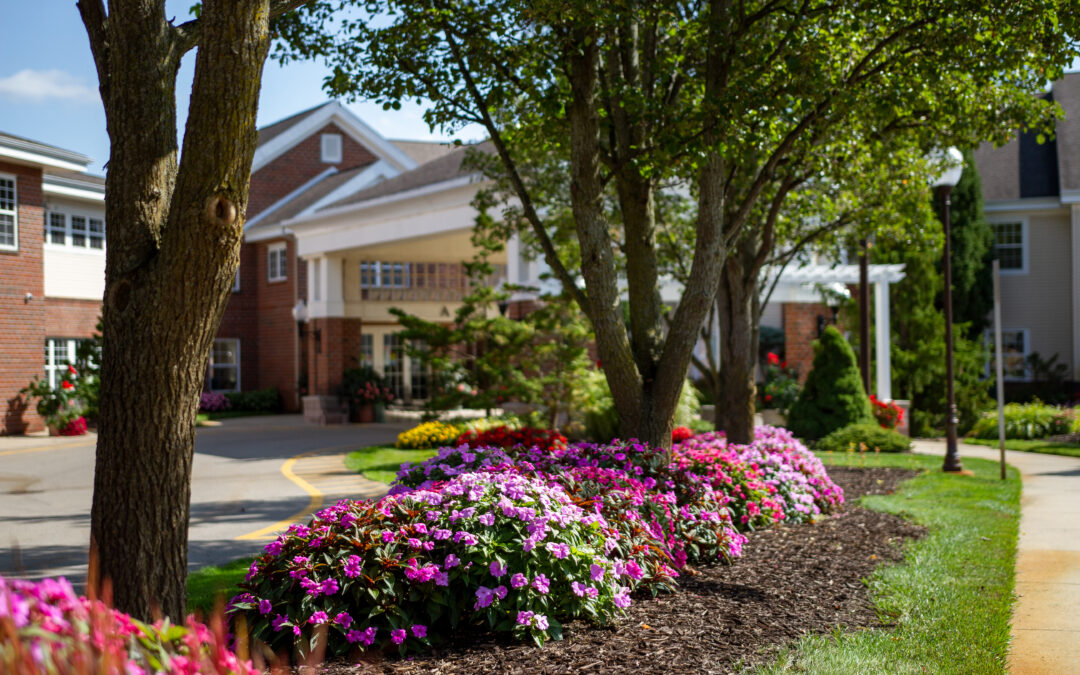 Paying for Senior Care (And Other Common Questions)