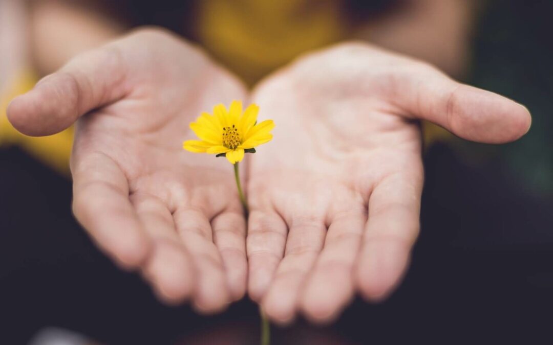 April 15 is Tax Day: Here are 5 Ways to Reduce Your Tax Burden by Jim Steenbergen