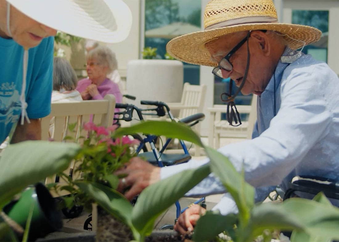 Elderly man gardening